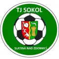 Sokol Slatina nad Zdobnicí