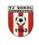 TJ Sokol Černíkovice/SK Solnice MŽ