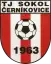 TJ Sokol Černíkovice  A