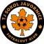TJ Sokol Javornice B